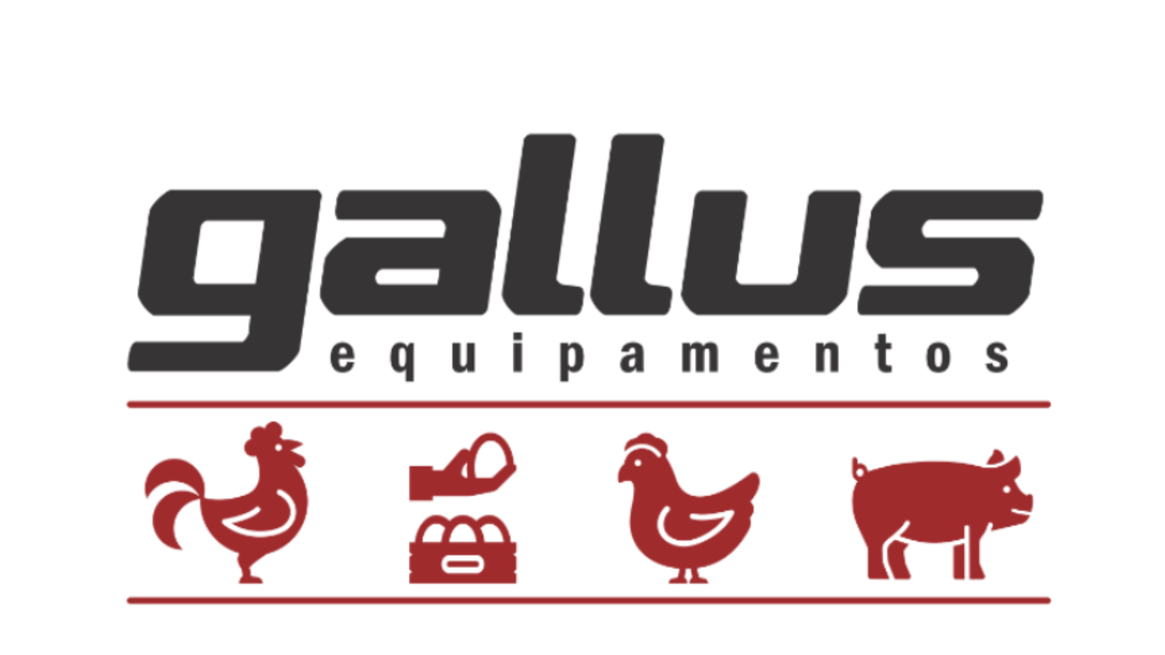 gallus